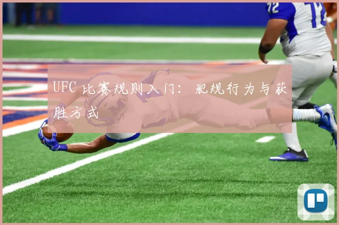 UFC 比赛规则入门：犯规行为与获胜方式