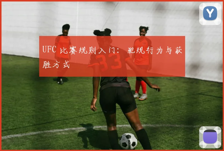 UFC 比赛规则入门：犯规行为与获胜方式